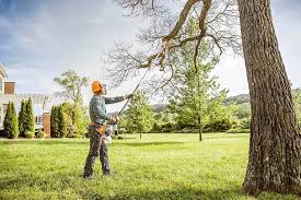 Reliable Kingsland, TX Tree Removal Services Solutions